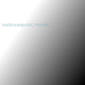 同性恋男人鸡巴操男孩屁股视频
